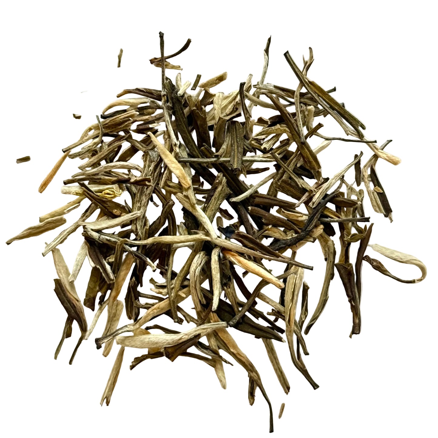 Silver Needle Jasmine