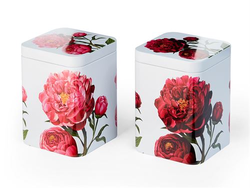 Peonia Tin