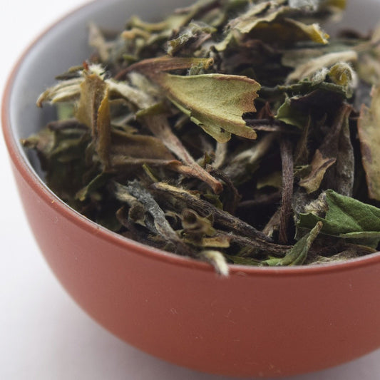 Organic Pai Mu Tan Tea