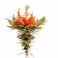 Blossoming Jasmine Lily Tea Ball