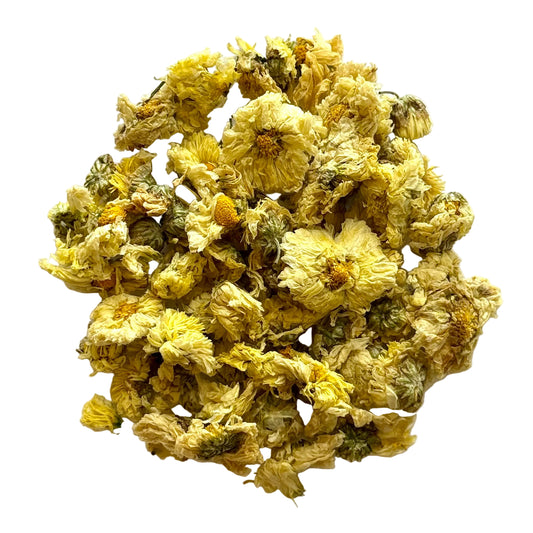 Chrysanthemum