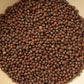 Mustard Seed - Brown