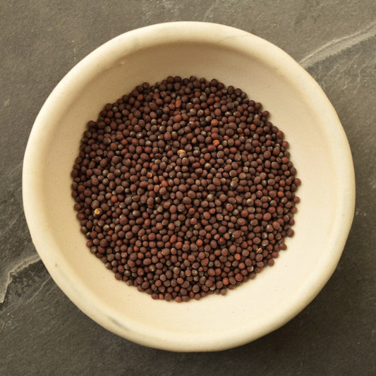 Mustard Seed - Brown