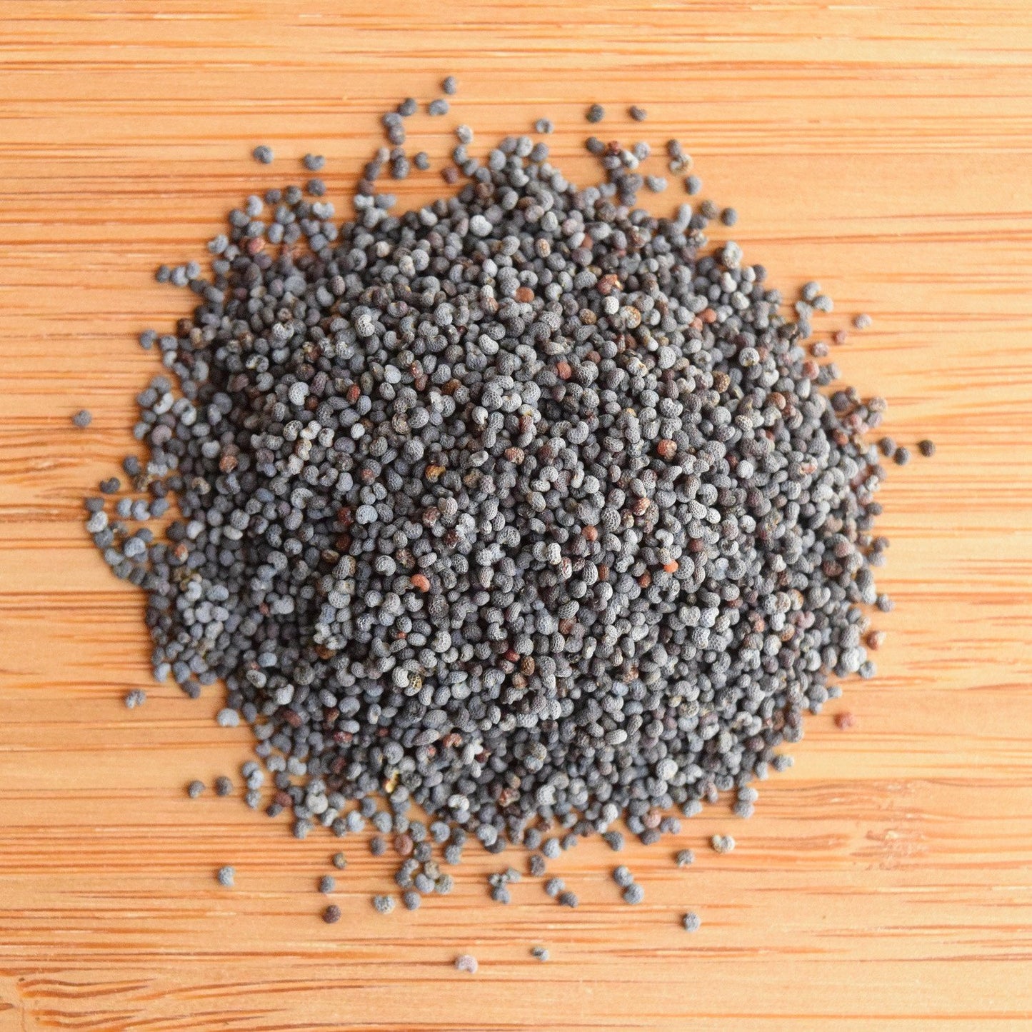 Poppy Seed